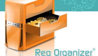 Reg Organizer 8.6 (2021) + Ключ