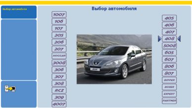 Peugeot Planet PP2000 24.21 (2011)